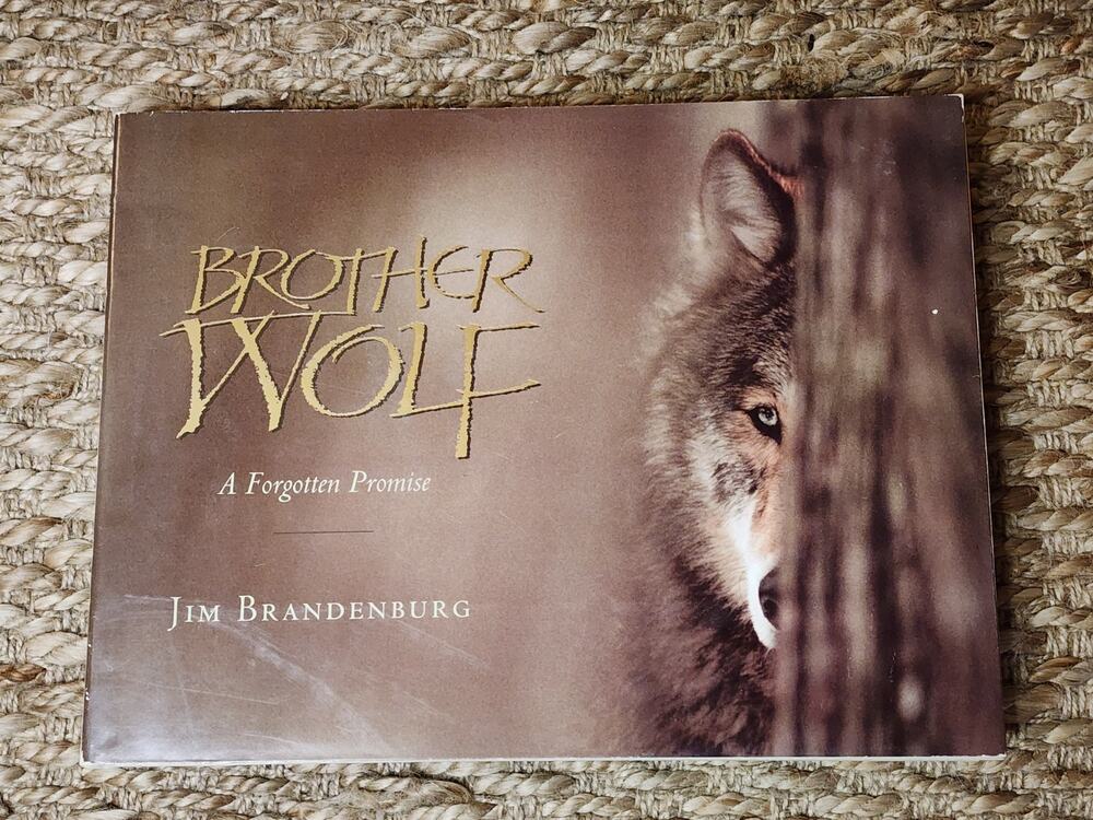 Brother Wolf A Forgotten Promise Hardcover Book Jim Brandenburg 1993